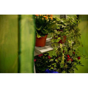 copy of Szklarnia ogrodowa Crocus II 70x50x158 - 4-półkowa Grindi - 6