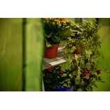 copy of Szklarnia ogrodowa Crocus II 70x50x158 - 4-półkowa Grindi - 6