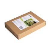 Lotus I Miniszklarnia 43x27x31 - Przezroczysta Grindi - 10