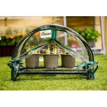 Lotus I Miniszklarnia 43x27x31 - Przezroczysta Grindi - 5