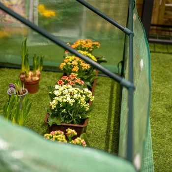 copy of Lotus I Miniszklarnia 43x27x31 - Przezroczysta Grindi - 3