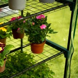 copy of Szklarnia ogrodowa Crocus II 70x50x158 - 4-półkowa Grindi - 7