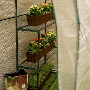 copy of Szklarnia ogrodowa Crocus II 70x50x158 - 4-półkowa Grindi - 3