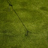 copy of Szklarnia ogrodowa Crocus II 70x50x158 - 4-półkowa Grindi - 7