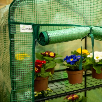 copy of Szklarnia ogrodowa Crocus II 70x50x158 - 4-półkowa Grindi - 5