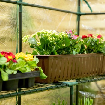 copy of Szklarnia ogrodowa Crocus II 70x50x158 - 4-półkowa Grindi - 4