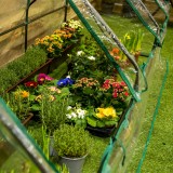 copy of Szklarnia ogrodowa Crocus II 70x50x158 - 4-półkowa Grindi - 4