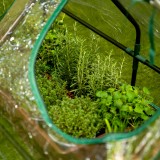 copy of Szklarnia ogrodowa Crocus II 70x50x158 - 4-półkowa Grindi - 5