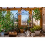 copy of Szklarnia ogrodowa Crocus II 70x50x158 - 4-półkowa Grindi - 2