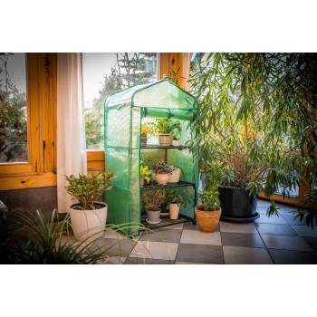 copy of Szklarnia ogrodowa Crocus II 70x50x158 - 4-półkowa Grindi - 2