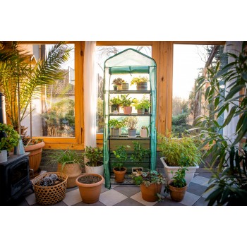 copy of Szklarnia ogrodowa Crocus II 70x50x158 - 4-półkowa Grindi - 2