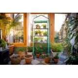 copy of Szklarnia ogrodowa Crocus II 70x50x158 - 4-półkowa Grindi - 2