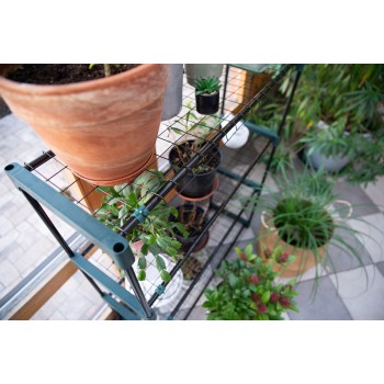 copy of Szklarnia ogrodowa Crocus II 70x50x158 - 4-półkowa GRINDI IN THE GARDEN - 5