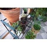 copy of Szklarnia ogrodowa Crocus II 70x50x158 - 4-półkowa GRINDI IN THE GARDEN - 5