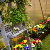 Polykarbonátový zahradní skleník - Viola III - 3x2m GRINDI IN THE GARDEN - 5