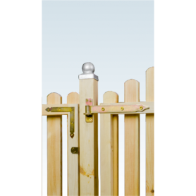 Ladenband - ZP DMX - 2