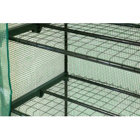 copy of Szklarnia ogrodowa Crocus II 70x50x158 - 4-półkowa Grindi - 6