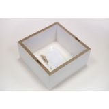 Wand-Regal-Set FSS 270/240/210 Velano - 21